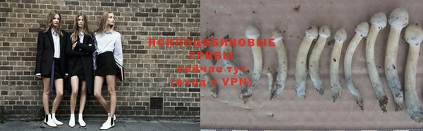 a pvp Абаза