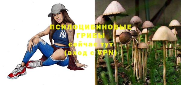 спиды Абинск