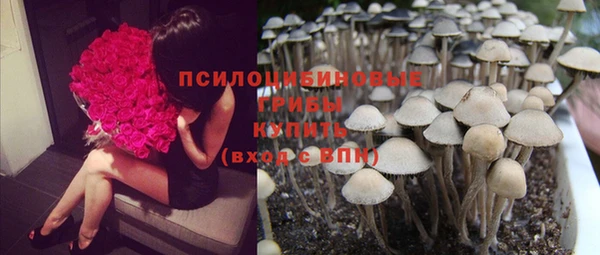 спиды Абинск